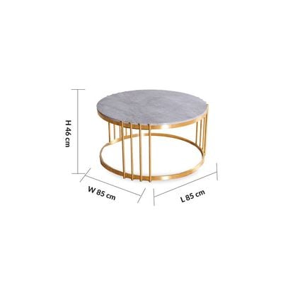 Armadillo Coffee Table - Grey / Gold