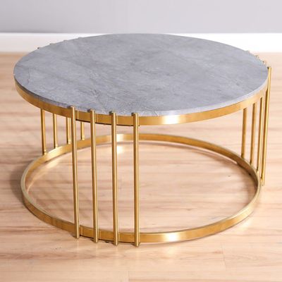 Armadillo Coffee Table - Grey / Gold