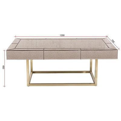 Gabby L 70 x W 120 x H 45 cm Coffee Table - 2 Years Warranty