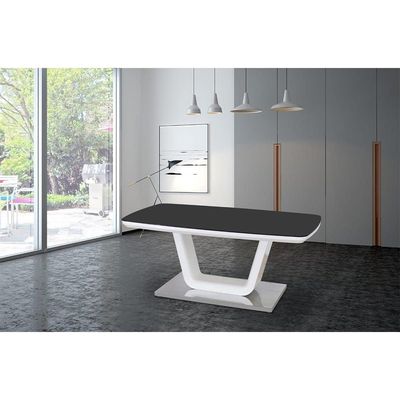 Salvador Coffee Table - Black / White