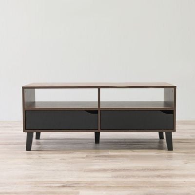 Jilly 2 Drawer Coffee Table - Columbia/Black 