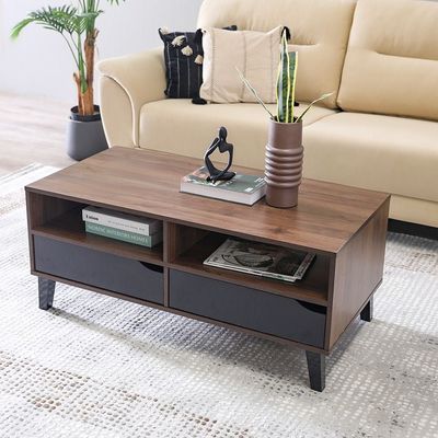 Jilly 2 Drawer Coffee Table - Columbia/Black 