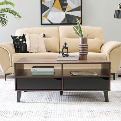 Jilly 2 Drawer Coffee Table - Columbia/Black 