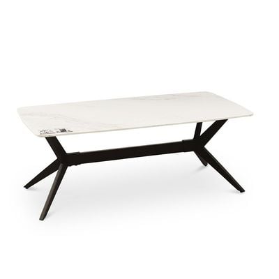 Calus Center Table Sintered Stone- Milky White / Black