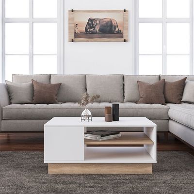 Camillo Centre Table - High Gloss White/Light Oak - With 2-Year Warranty