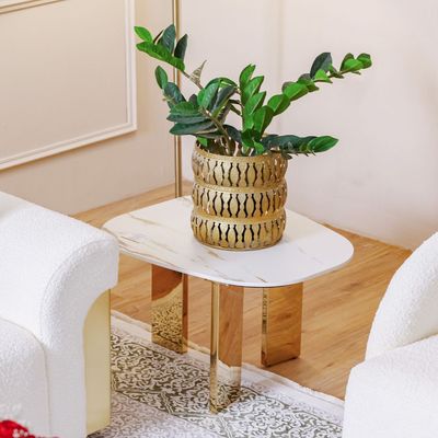 Dasher Set Of 2 Coffee Table - White/Gold