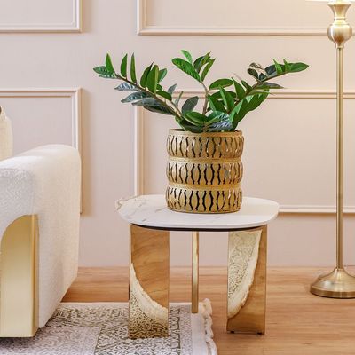 Dasher Set Of 2 Coffee Table - White/Gold