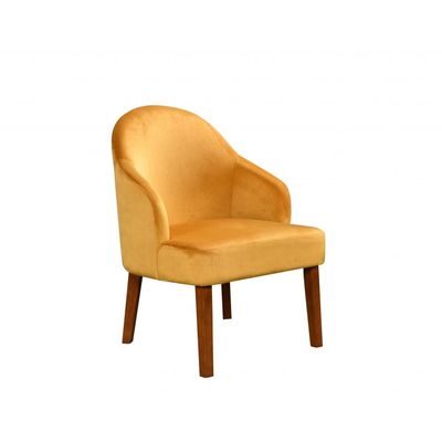 Fizzle Arm Chair - Tan