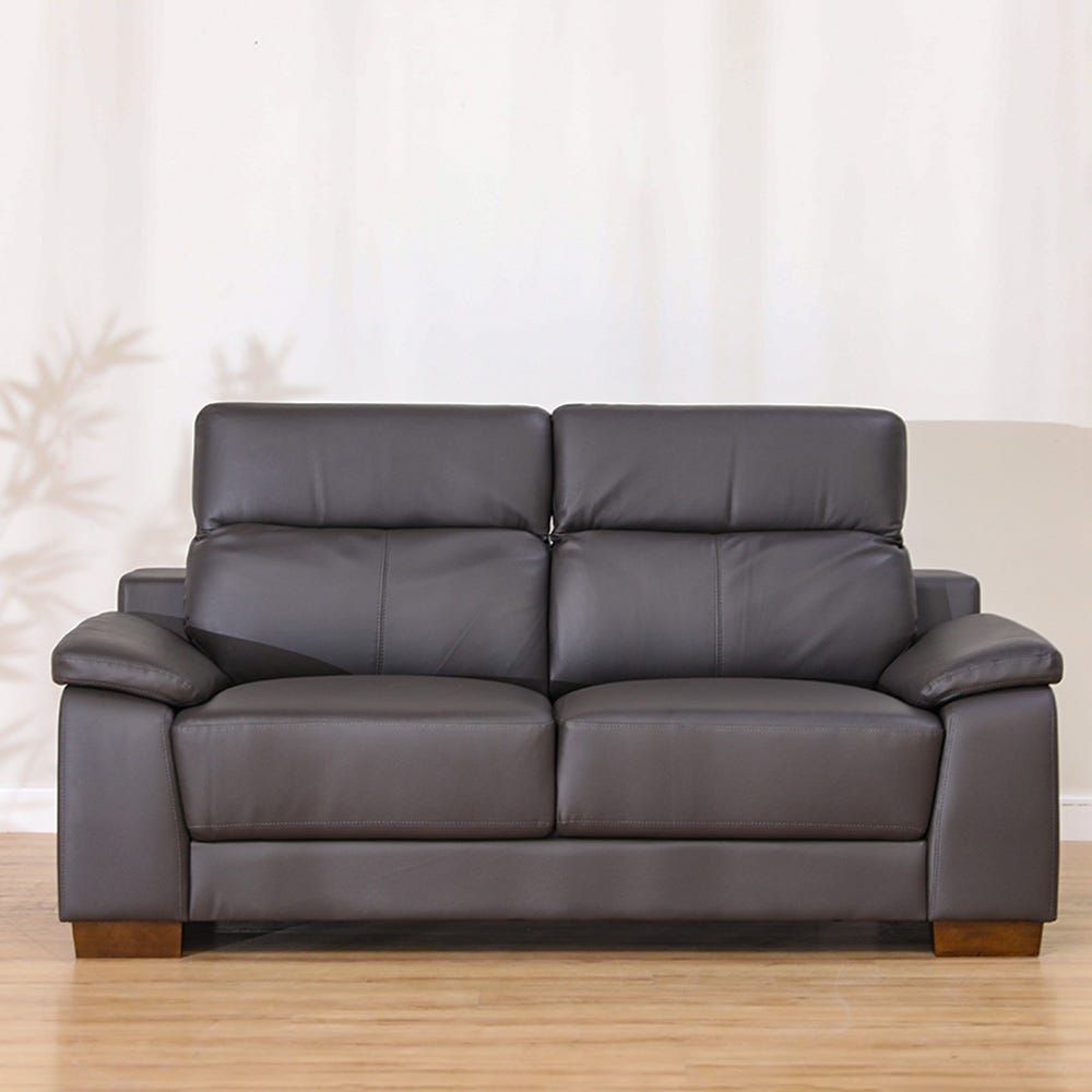 Cheap 2 deals seater leather sofa