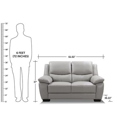 Amor 2 Seater Leather Sofa - Grey