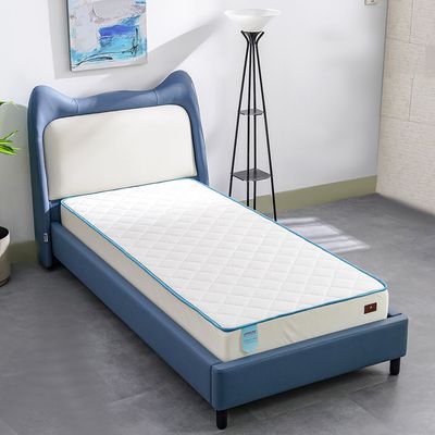 Student Teens Foam Mattress 120X200X19Cm