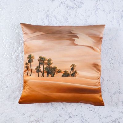 Dreamz Cushion 65X65cm MULTI SAND DUNES- Filled CUSHION