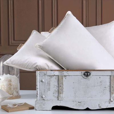 Othello Classico Soffica Pillow 50X70 cm