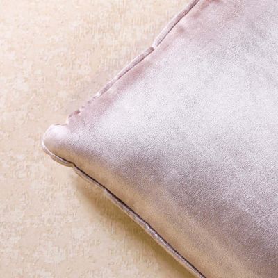 Cotton Viscose Velvet Filled Cushion 45x45Cm Silver Grey