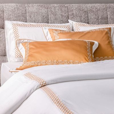 Mystique 6-Pc Embroidered King Size BIAB Comforter Set - White/Brown - 240x260 CM 