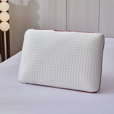 Repose Double Jacquard 3D Soft Mesh Pillow 60x40x13Cm (WEL-1913-soft)