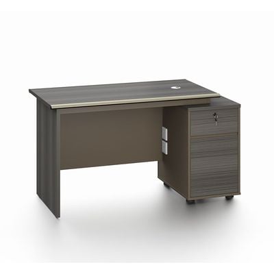 Eupen Office Desk - Grey - With 5-Year Warranty