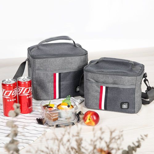 Danube Essential Lunch Bag Polyester, Pe Foam, Aluminum Foil Layer Grey 8L,24 X 17 X 20 Cm Fy23004
