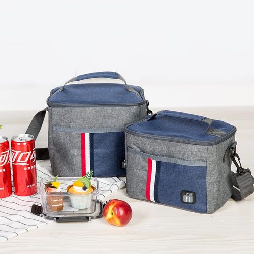 Danube Essential Lunch Bag Polyester, Pe Foam, Aluminum Foil Layer Blue 5.98L,22 X 16 X 17 Cm Fy23005