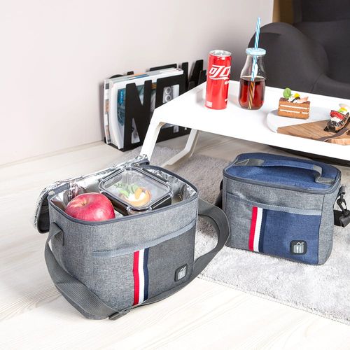Danube Essential Lunch Bag Polyester, Pe Foam, Aluminum Foil Layer Grey 5.98L,22 X 16 X 17 Cm Fy23005
