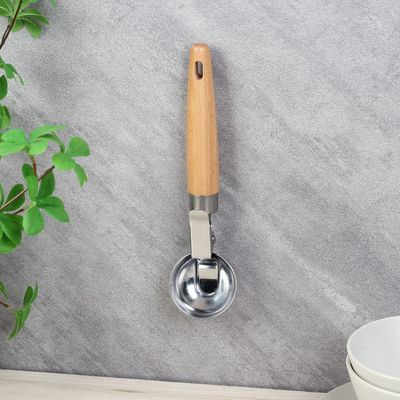 Danube Essential Ice Cream Scoop 21x5.3x3 Cm