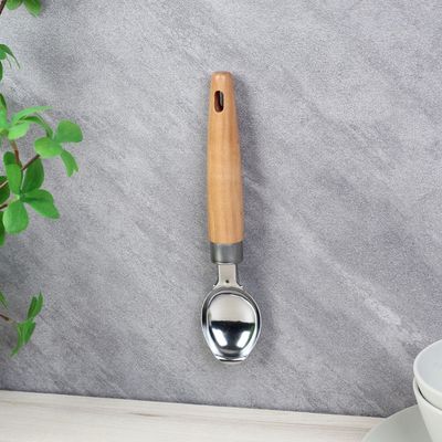 Danube Essential Ice Cream Scoop 19.7x4.2x2 Cm