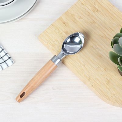 Danube Essential Ice Cream Scoop 19.7x4.2x2 Cm