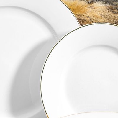 Mystique 36-Pc Bone China Dinner Set 