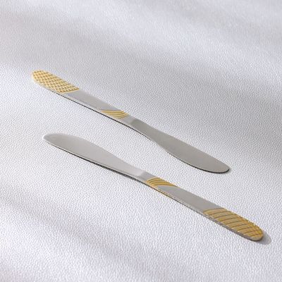Sigma Base 2-Pc Dinner Knife - Silver/Gold - 21.5 cm (L)