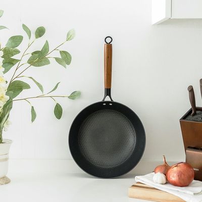 Chef's Delights Light Cast Iron Fry Pan -24CM