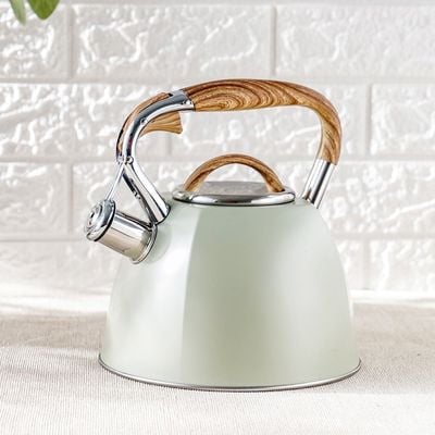 Chef's Delight Stainless Steel Whistling Kettle 2.7L Mint Green