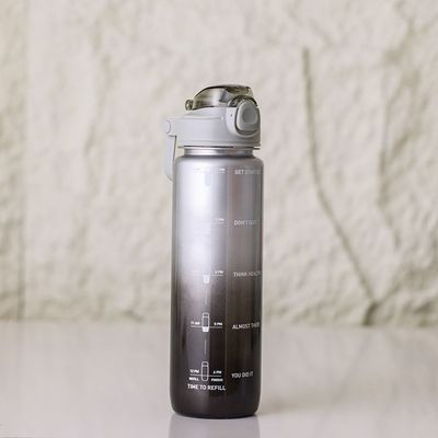 Alpine Aqua Sports Bottle Grey 1000ml 7.8x28.5CM 