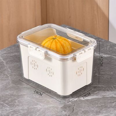 Proo Fridge Food Container With 1 Basket -24X17X14Cm 