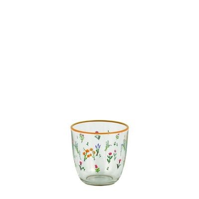 Rakle 4-Piece Printing, Rim Tumbler Glass Set - 295 Ml