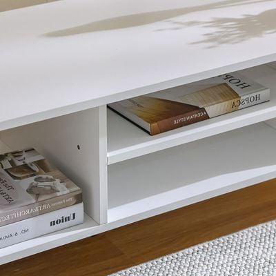 Enzo TV Unit for TVs up to 50 Inches with Storage 