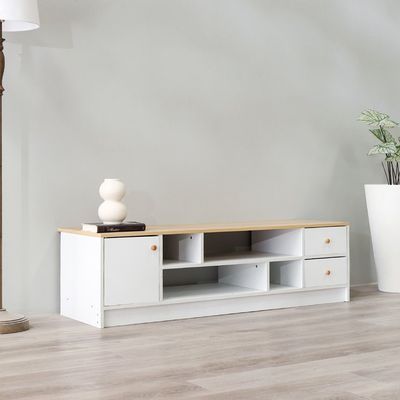 Gianni TV Unit for TVs up to 50 Inches with Storage 
