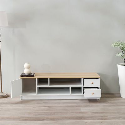 Gianni TV Unit for TVs up to 50 Inches with Storage 