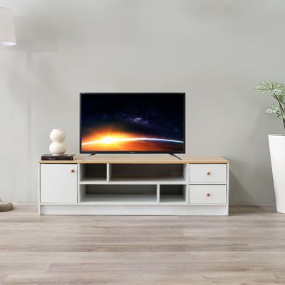 Gianni TV Unit for TVs up to 50 Inches with Storage 