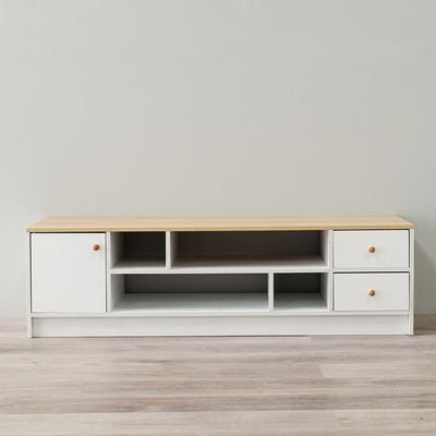 Gianni TV Unit for TVs up to 50 Inches with Storage 