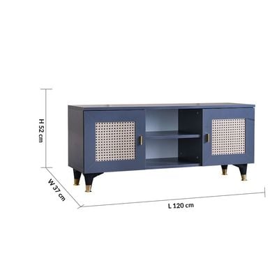 Erva TV Unit for TVs upto 55 Inches with Storage - 1 Year Warranty