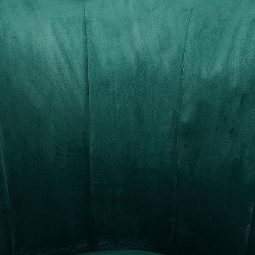 Angela Flower Design Velvet Visitors Living Room Chair - Green