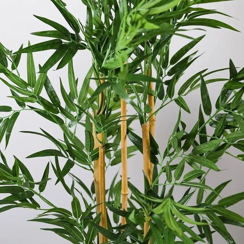 Bamboo Stem Green Plant in Plastic Black Pot-130 cm