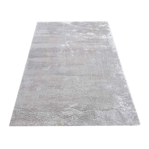 Rugs Art CPC ICY Grey ACS538 Rectangular Size 200X300