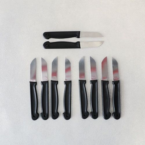Kitchen Peeling Knif 10Pcs Asst 2 Color