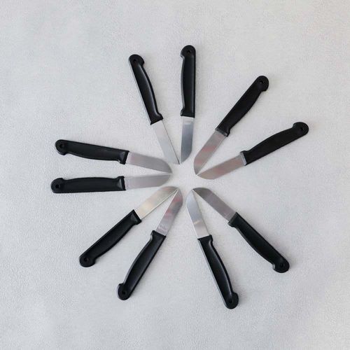 Kitchen Peeling Knif 10Pcs Asst 2 Color