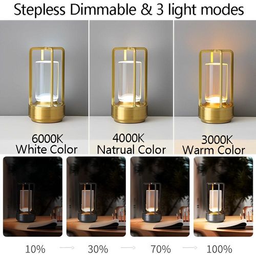 HOCC Portable Metal Desk Lamp (Gold)