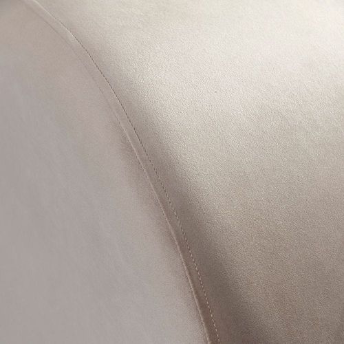 Home Canvas Comfy Lounge Chair Velvet S-Shape Sofa Modern Yoga Chaise Lounge Comfort Gold