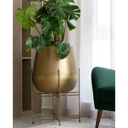 OURO PLANTER