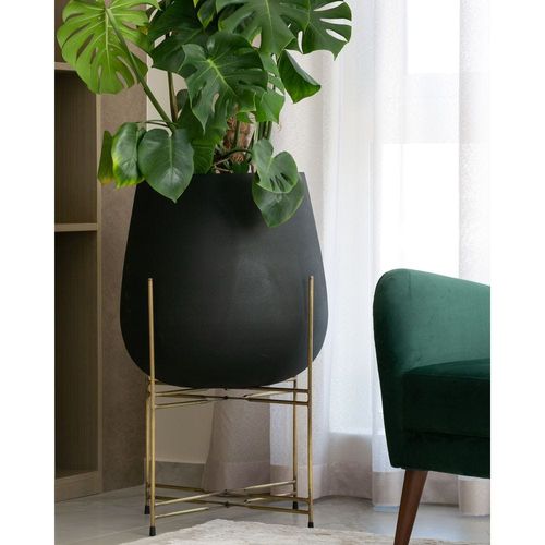 OURO PLANTER