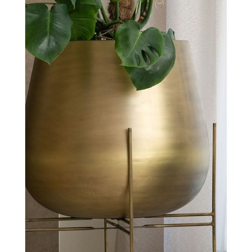 OURO PLANTER